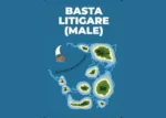 Basta Litigare (male) – Relazioni Sane
