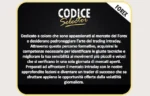 Codice Selector MASTER - Max Mereghetti