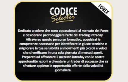 Codice Selector MASTER - Max Mereghetti