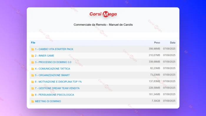 Commerciale da Remoto – Manuel de Carolis - immagine 2