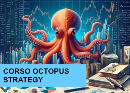 Corso Octopus Strategy – FTInvestment