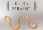 Detox Parassiti – Lorenzo Biohacker