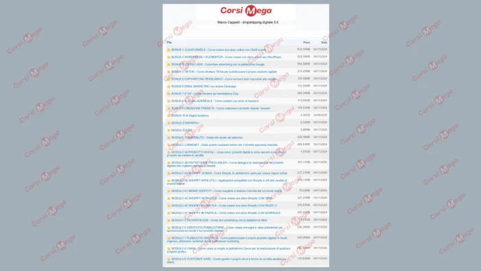 Dropshipping Digitale 5.0 + Ai Digital Academy – Marco Cappelli - immagine 2