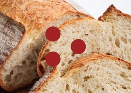 Il Pane con Lievito Madre e Lievito Misto – Fudemy
