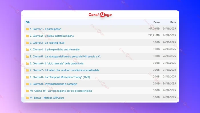 Metodo ORA Zero – Efficacemente - immagine 2