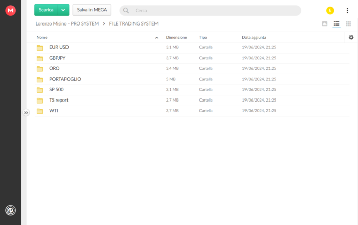 Misino Pro System – Lorenzo Misino - immagine 6