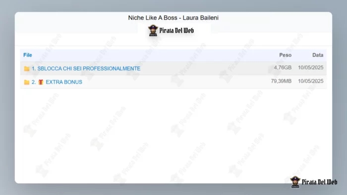 Niche Like A Boss – Laura Baileni - immagine 2