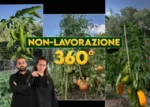 Orto Eterno: Non Lavorazione 360° - Rendita Agricola