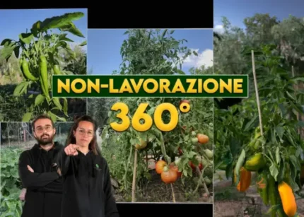 Orto Eterno: Non Lavorazione 360° - Rendita Agricola