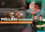 Pollaio da Reddito - Rendita Agricola