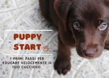 Puppy Start - Educazione Cinofila