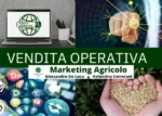 Vendita Operativa - Rendita Agricola