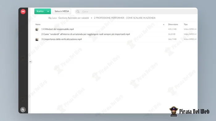 Gestione Aziendale per Nababbi (Premium) – Big Luca - immagine 4
