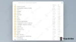 YouTube University – Francesco Polesel e Amin Halibi - immagine 2